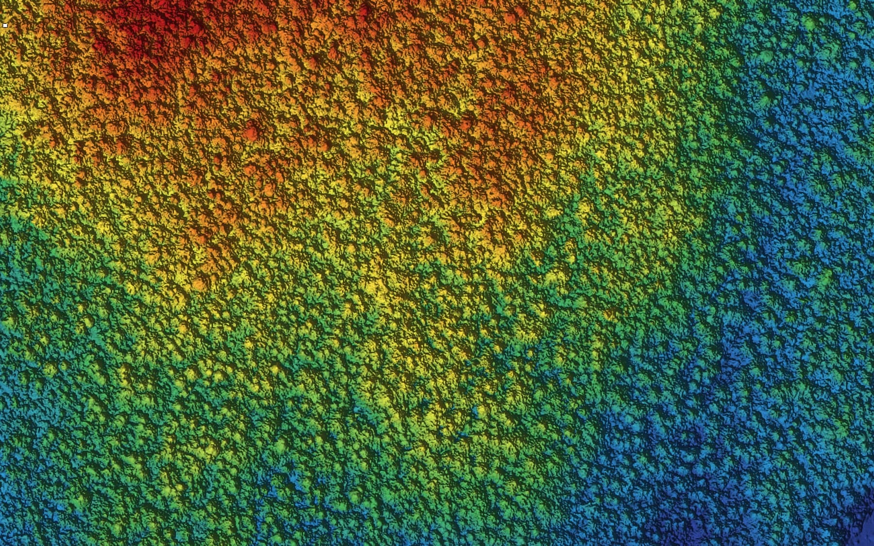 Drone LiDAR canopy surface model coloured by height over a northern forest