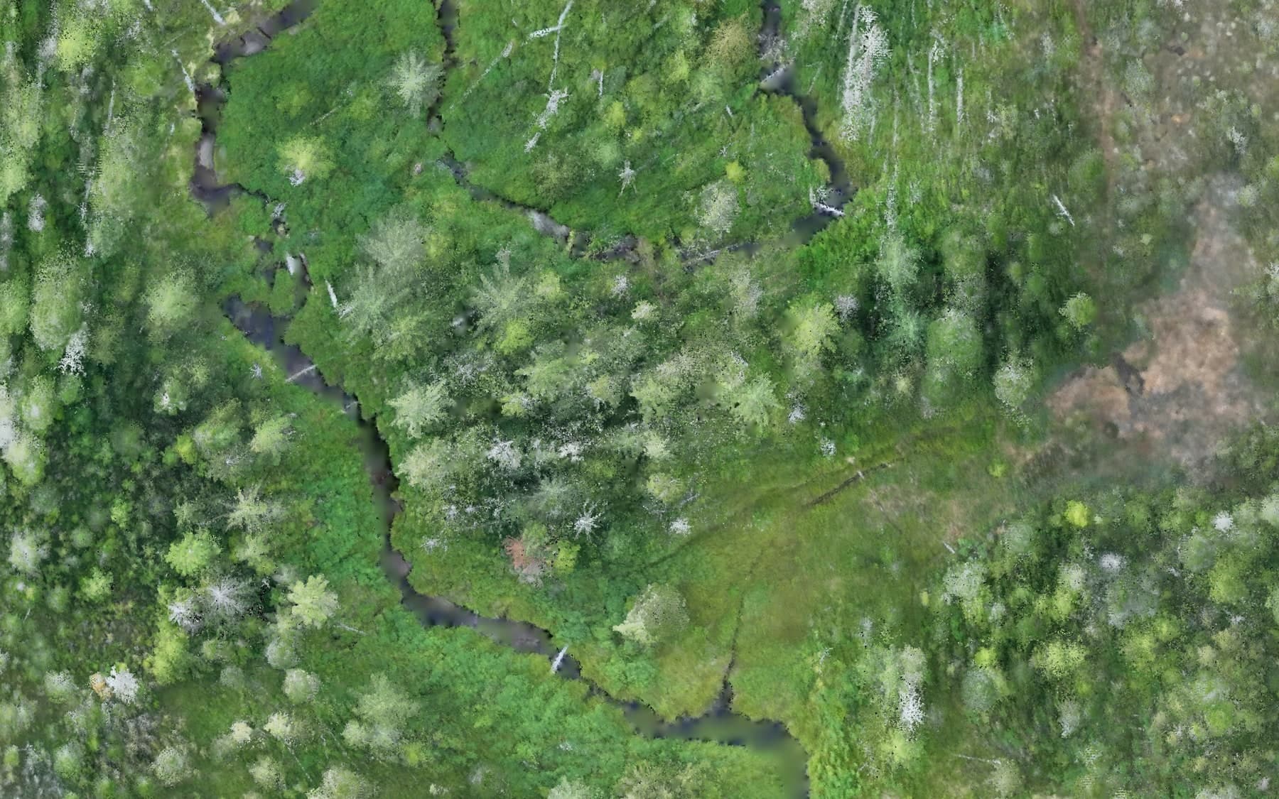5 cm drone orthophoto of a creek meandering through a northern wetland