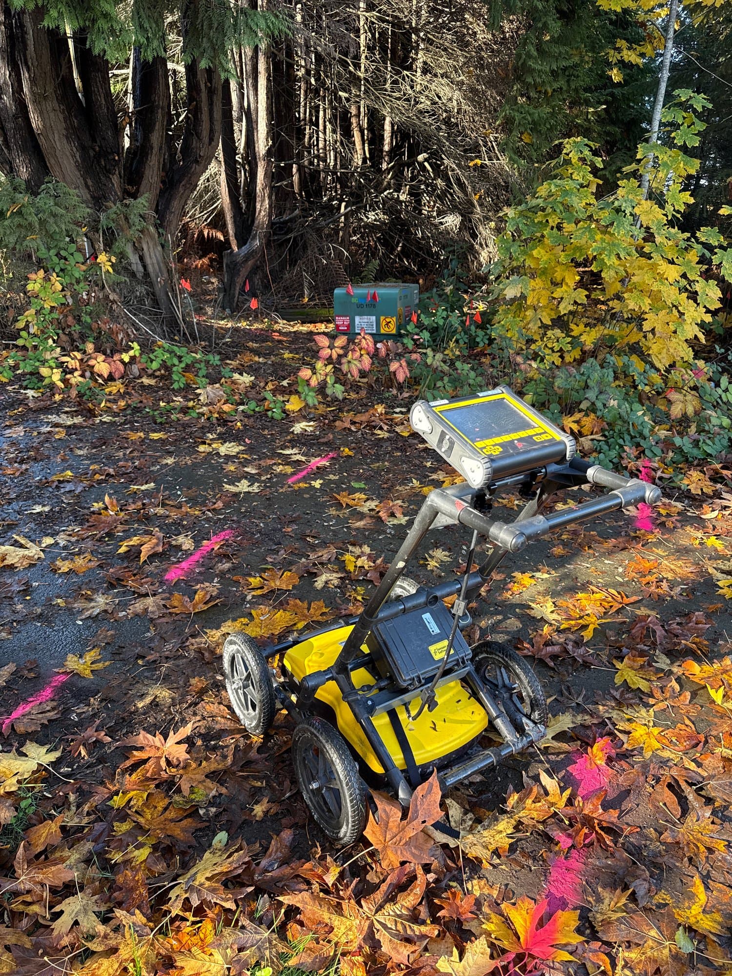 GPR locate through fall leaves