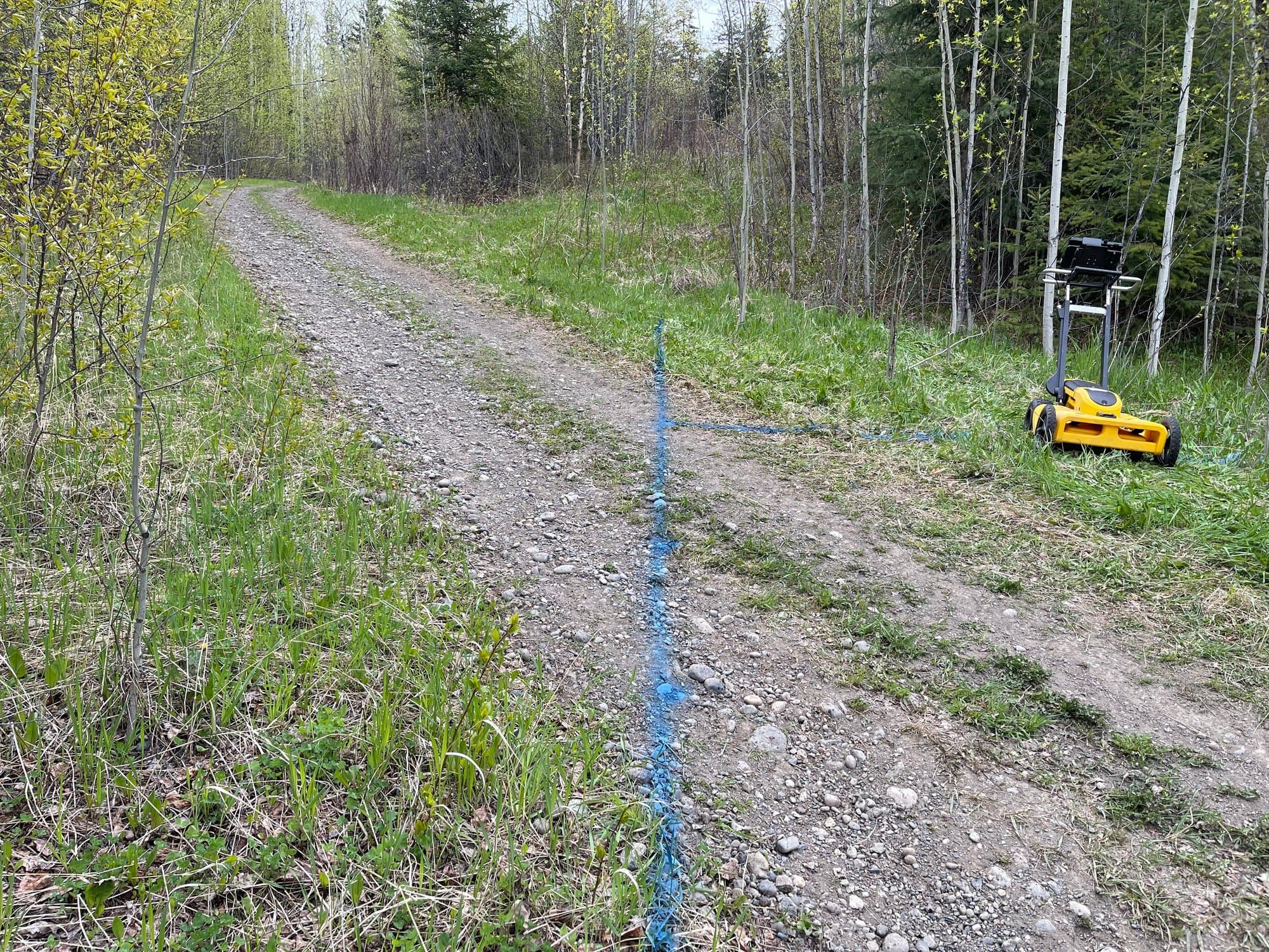 GPR survey line cut along a forest trail
