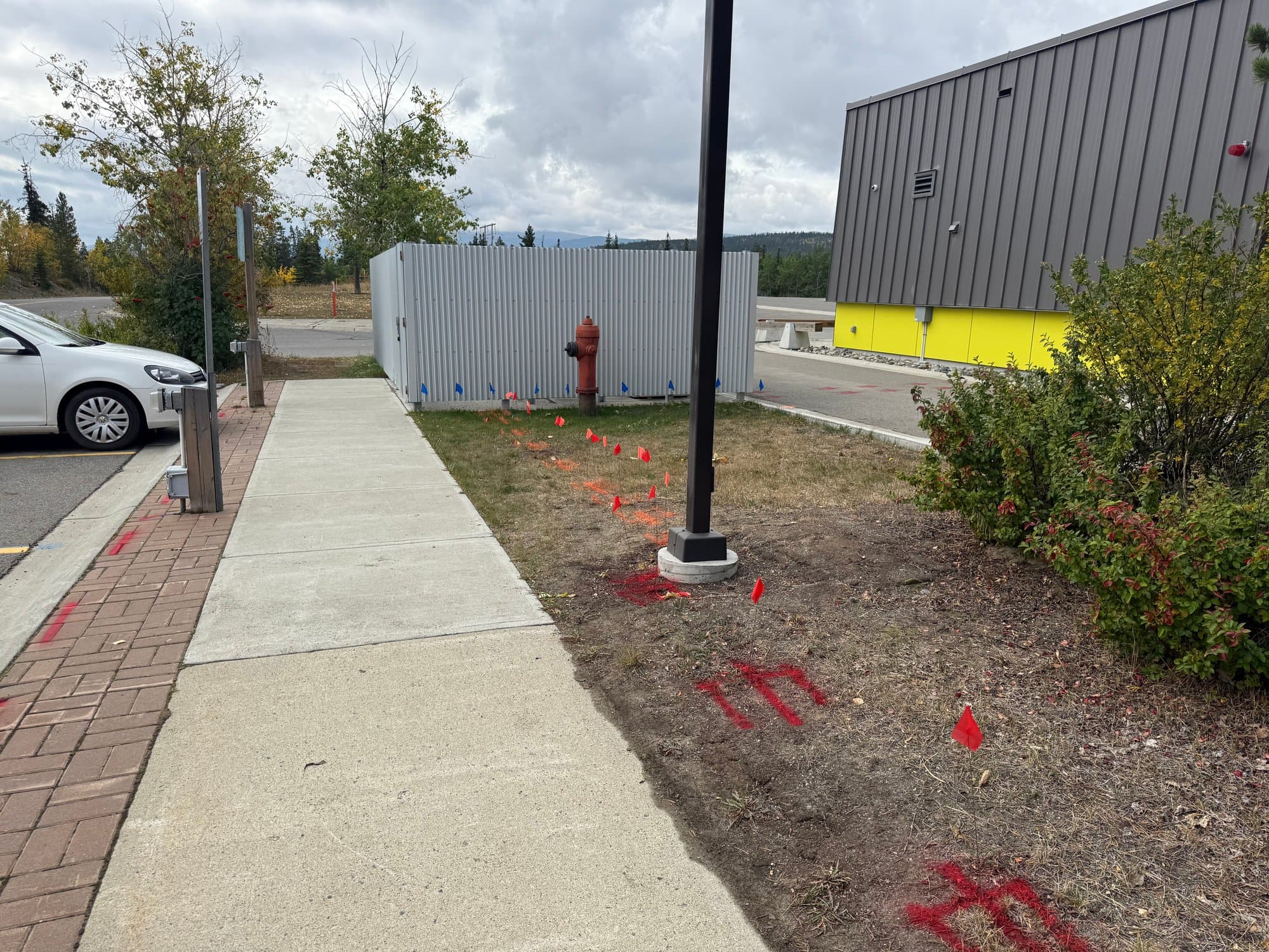 Utility locate marks on a city sidewalk beside a fire hydrant