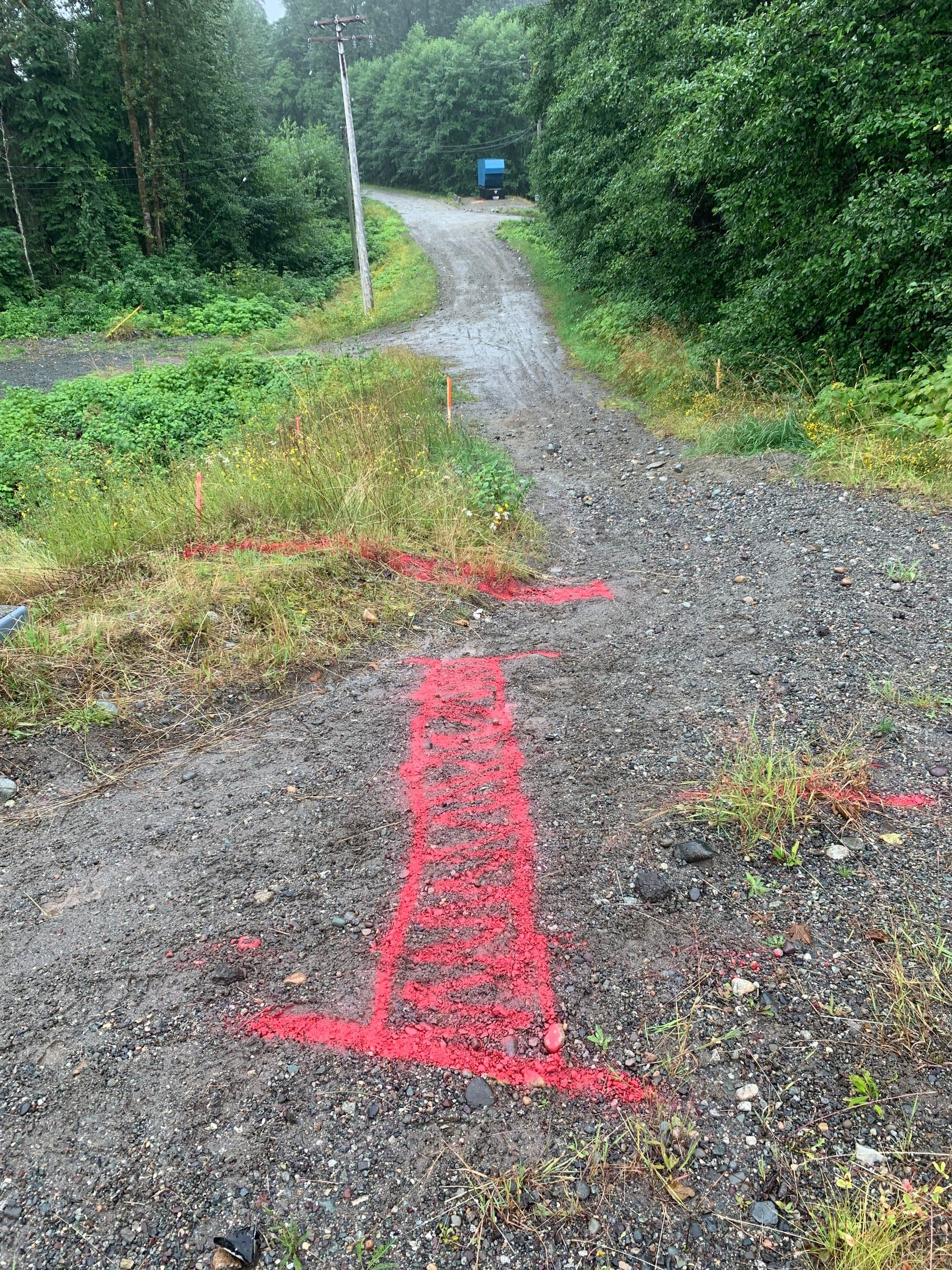 Fresh utility locate marks along a gravel path