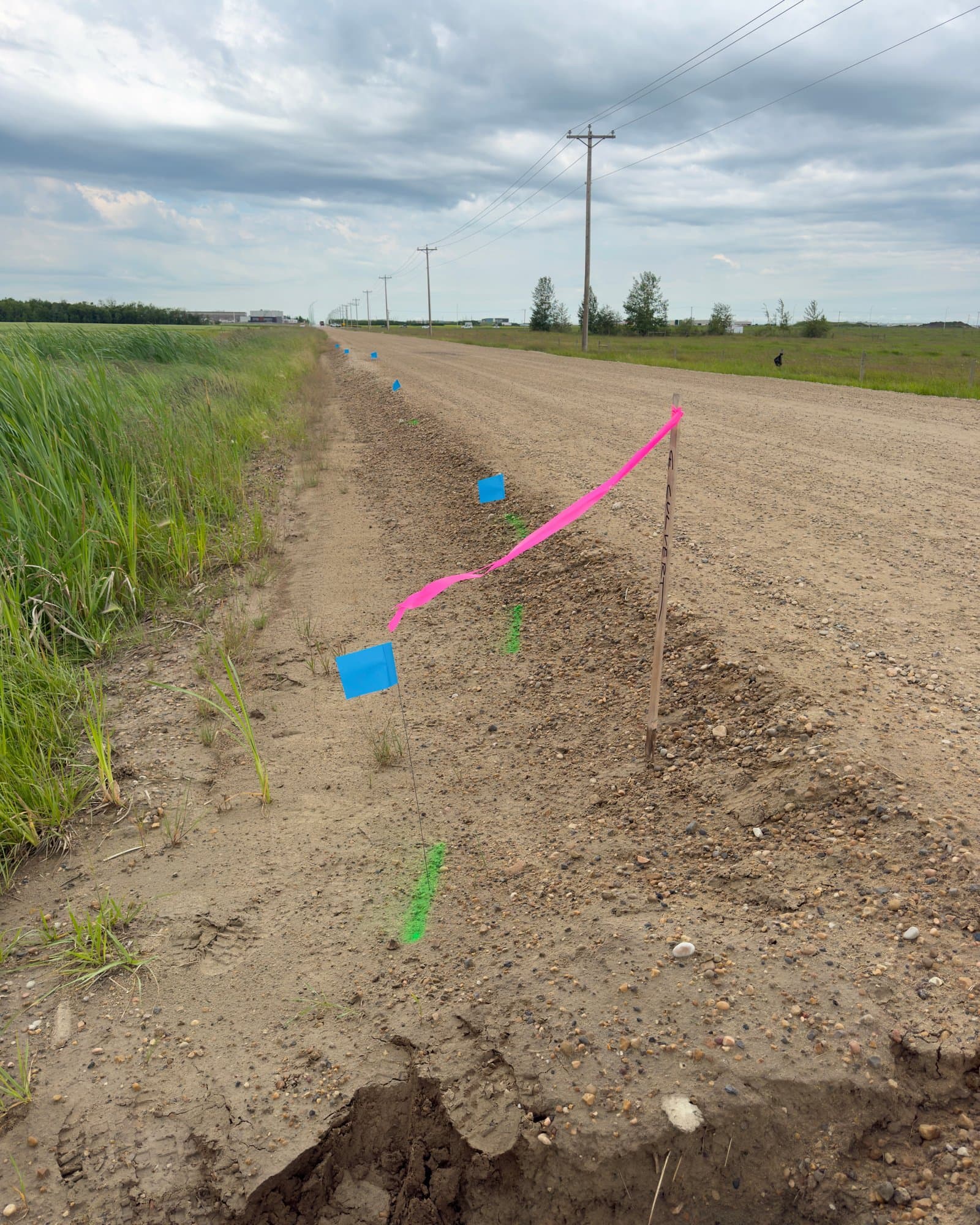 Corridor staking along a farm road