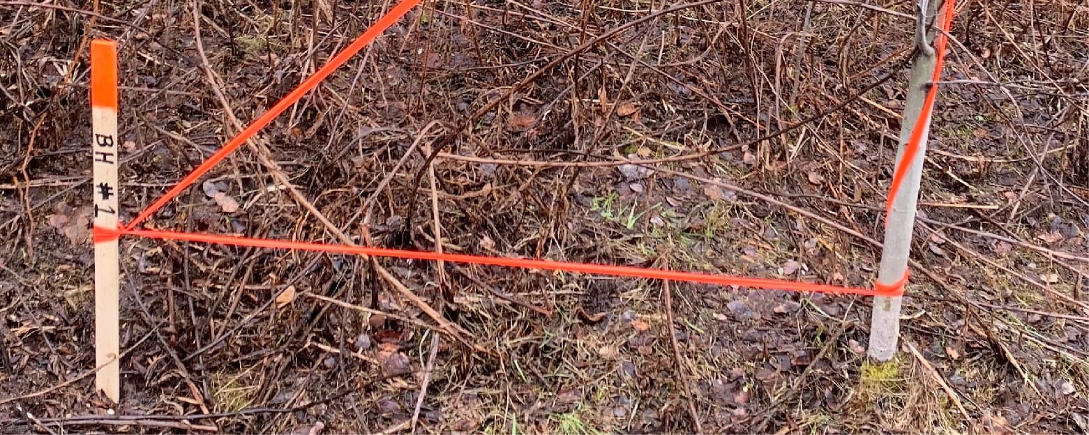 Staked and flagged borehole location for an environmental drilling program