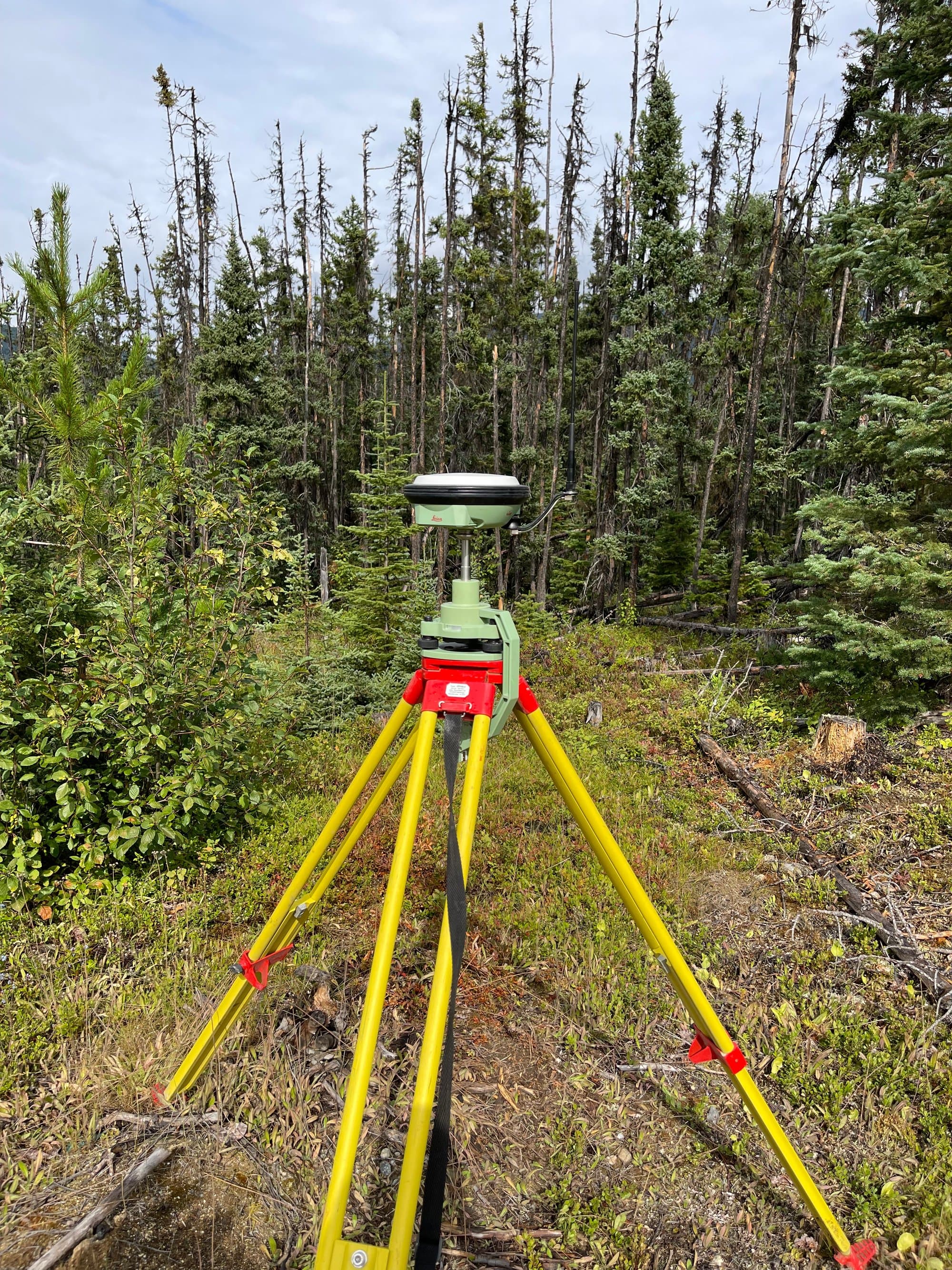 GNSS tripod in a cutblock