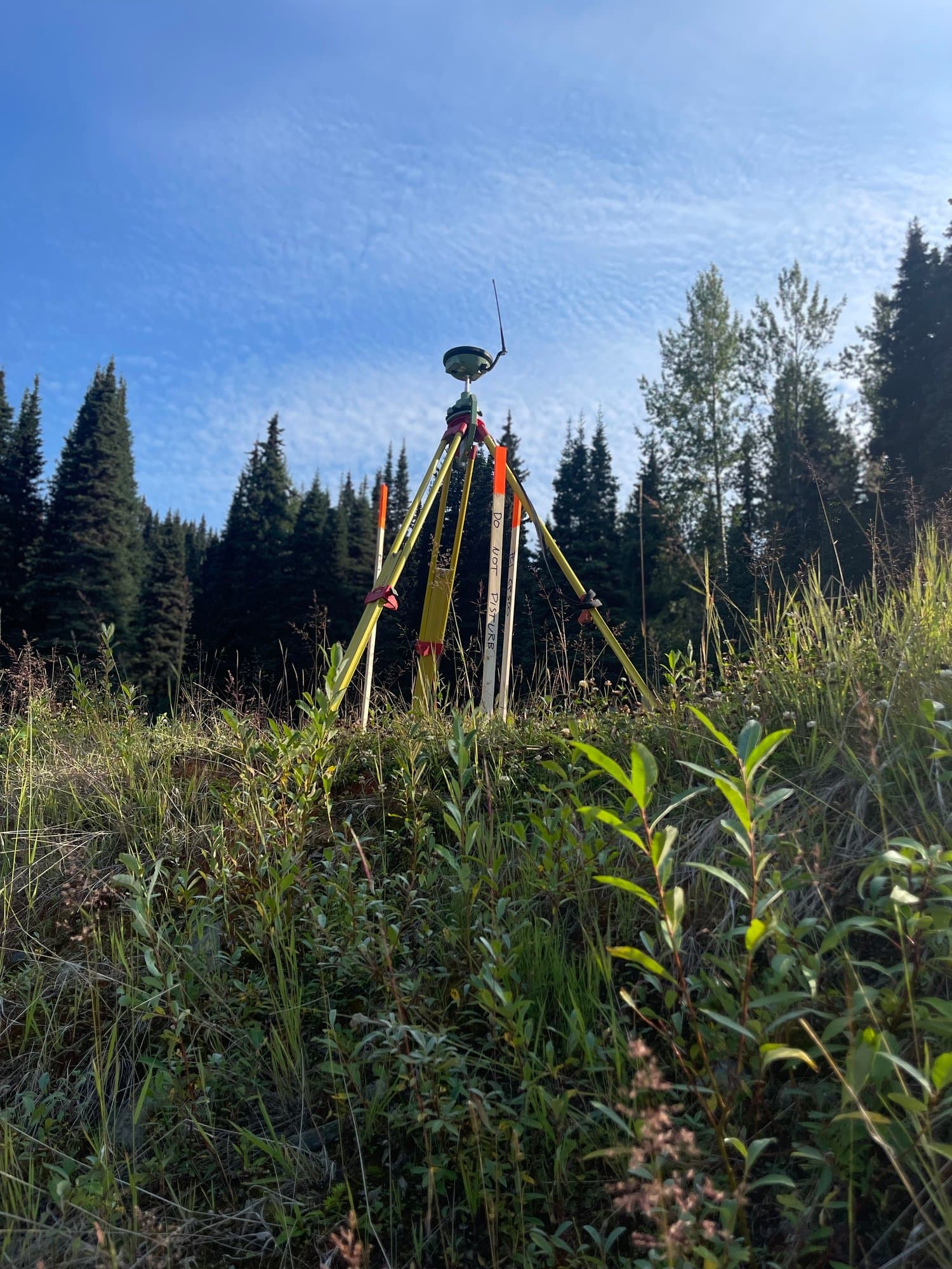 GNSS tripod at the forest edge
