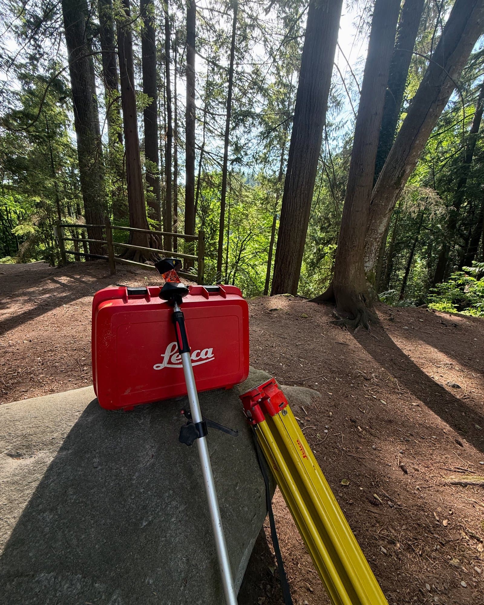 Instrument case resting on a forest trail