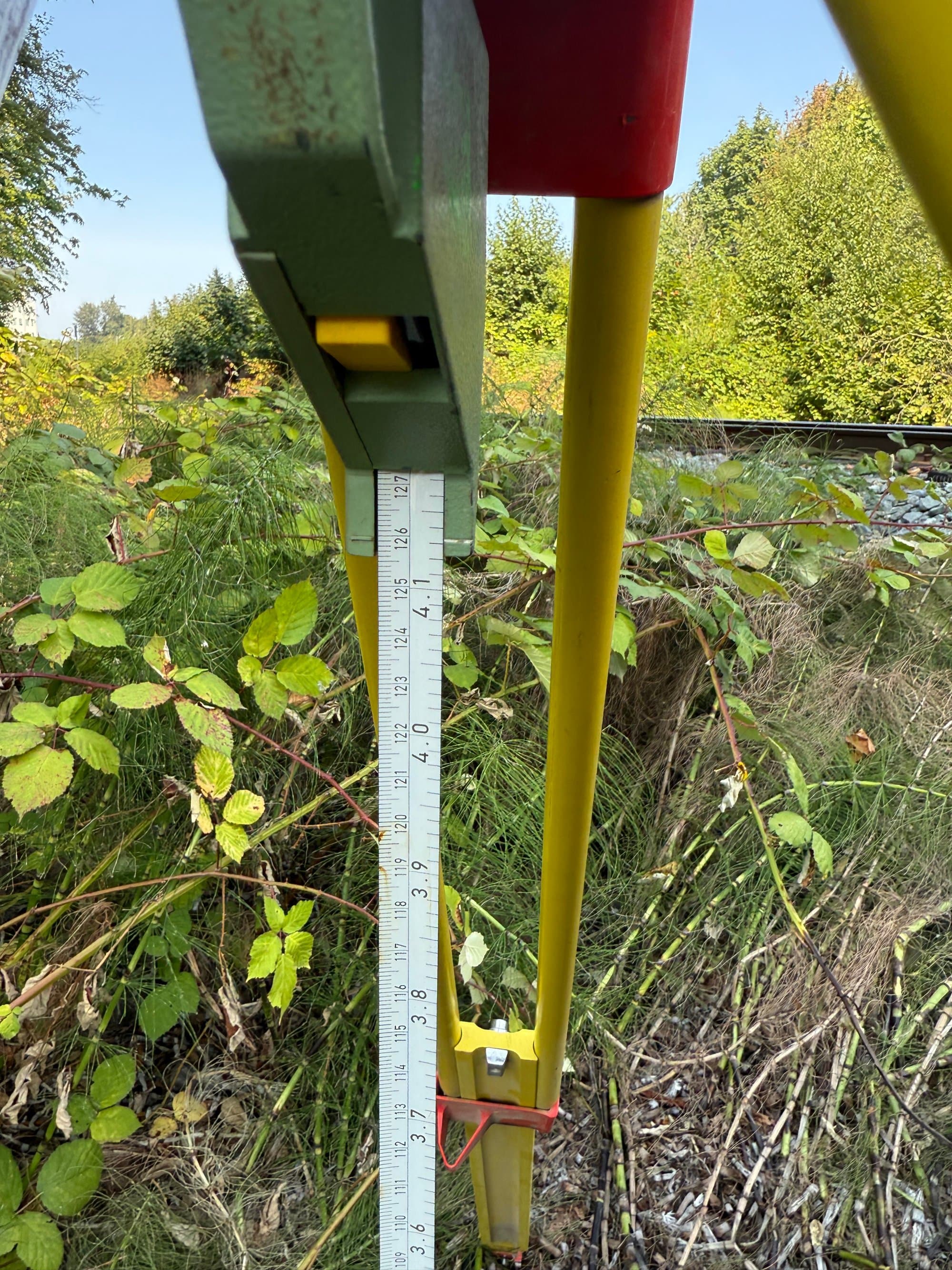 Level rod graduations against the brush