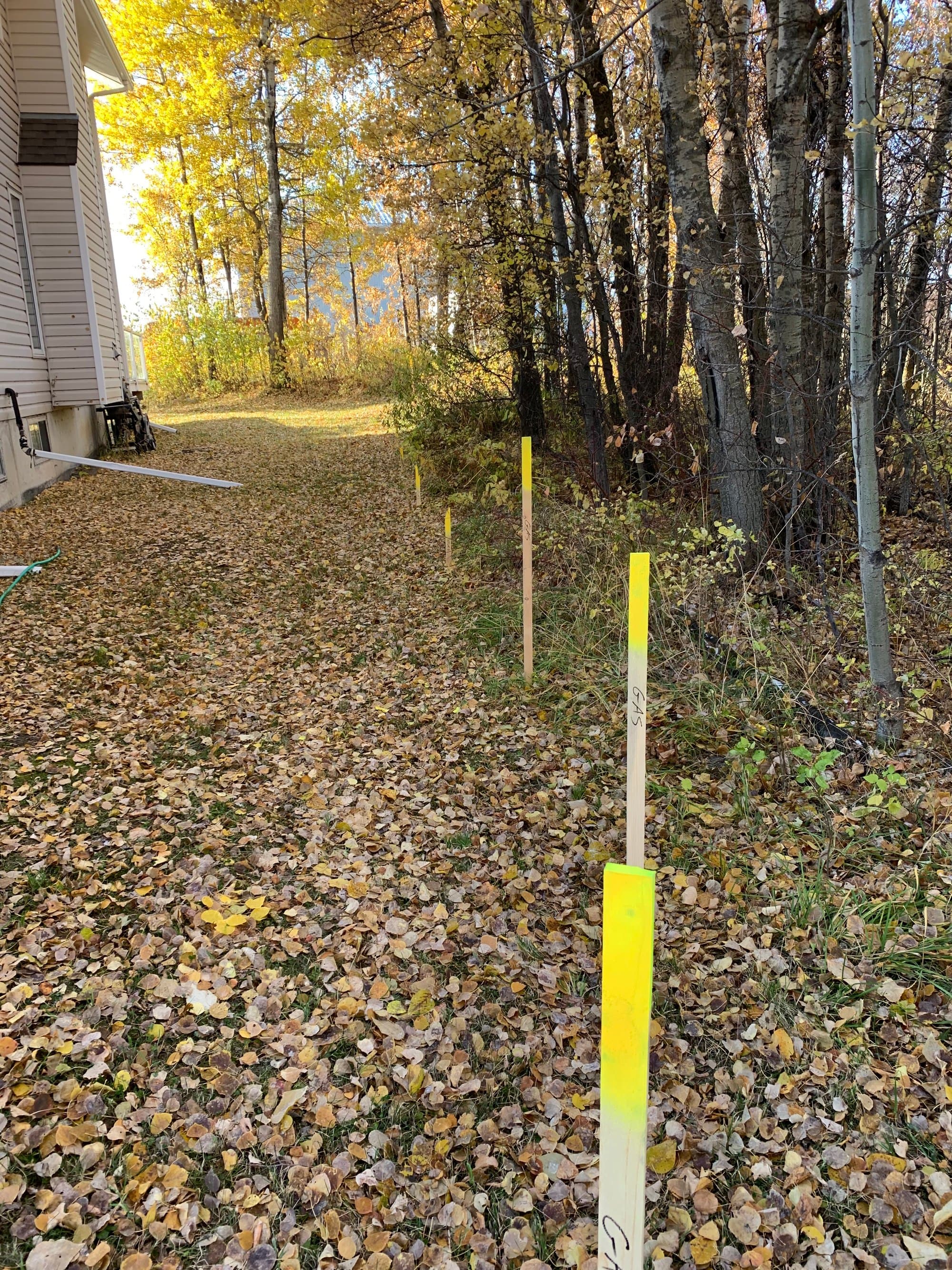 Survey lath among fall leaves