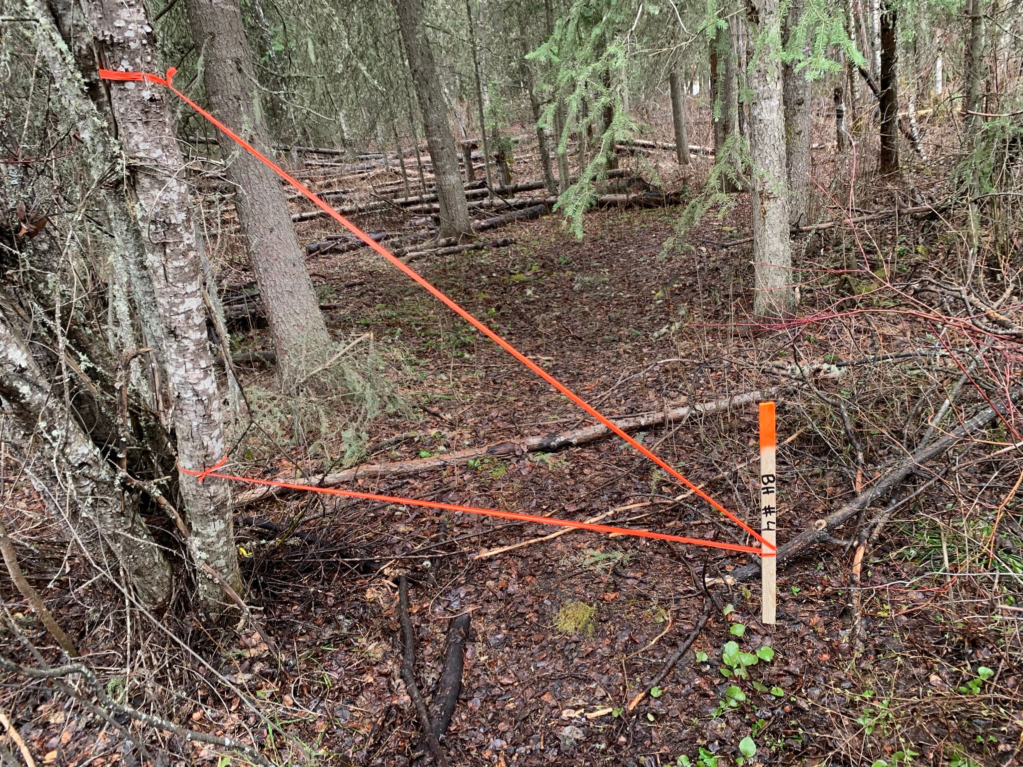 GNSS survey of borehole locations for an environmental program
