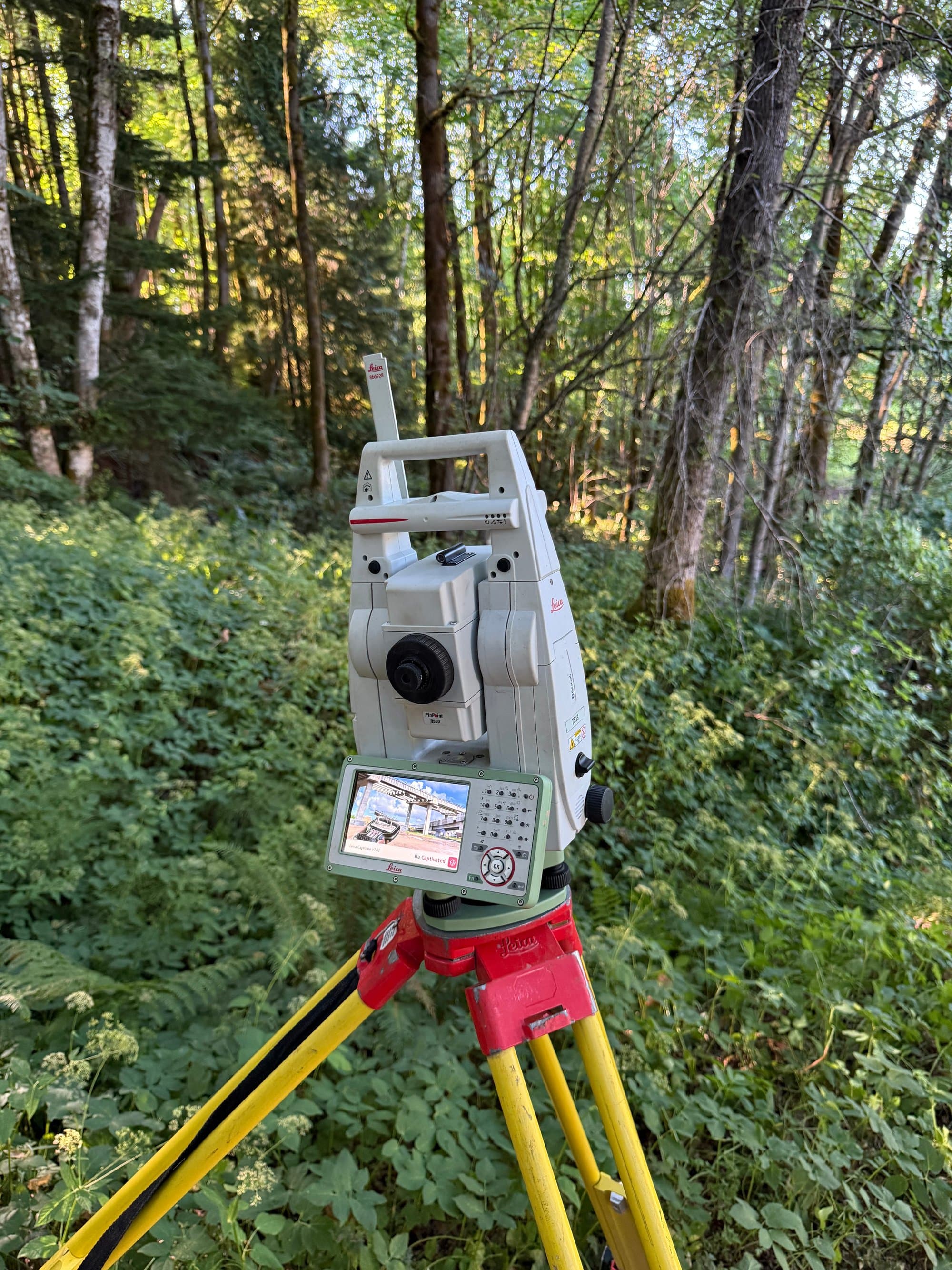 Total station tucked into forest brush