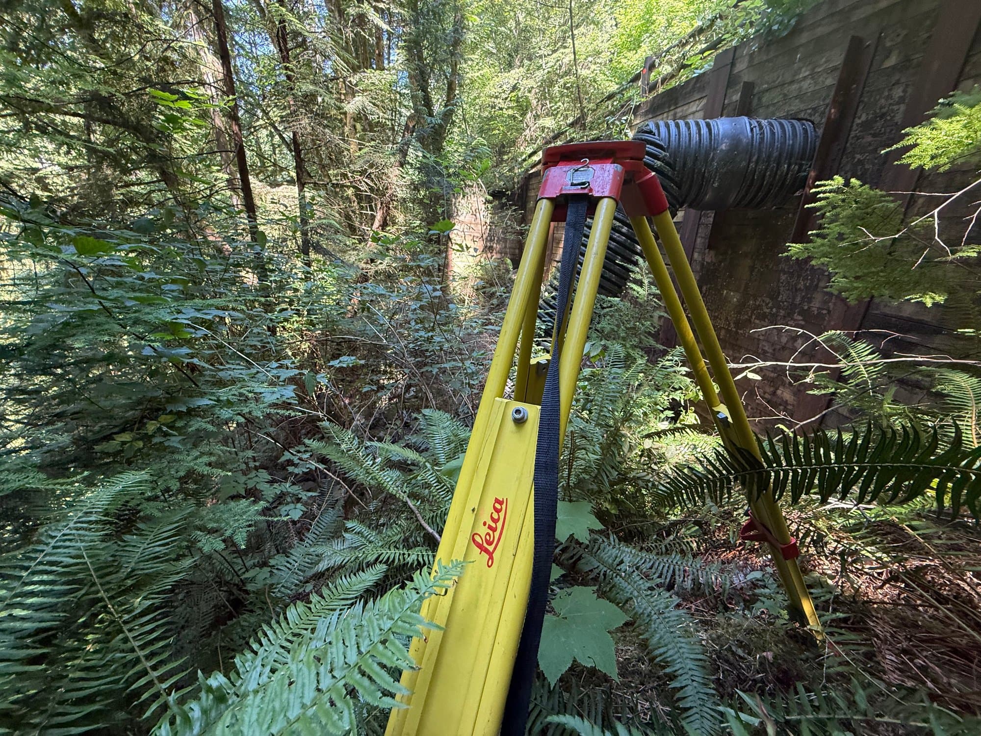 Tripod beside a culvert in the ferns
