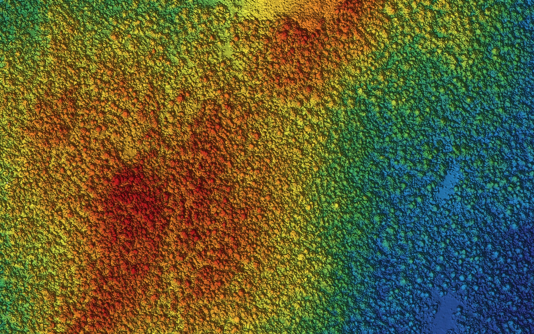 Drone LiDAR surface model coloured by height — every tree crown in a northern forest resolved from the point cloud