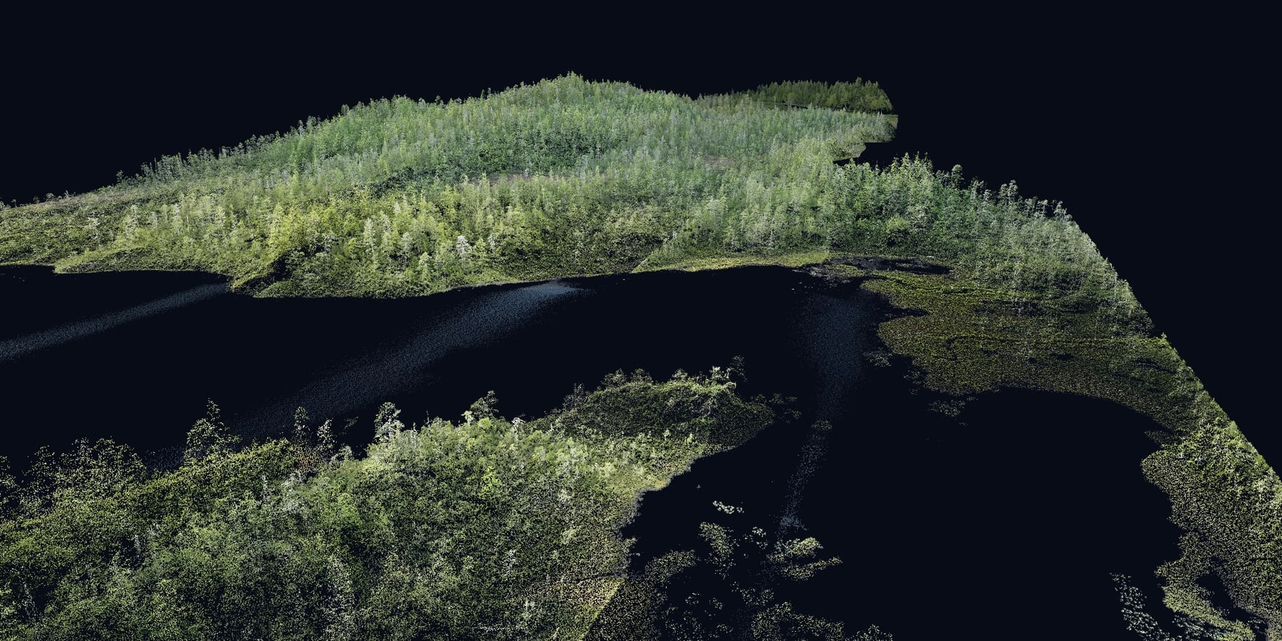 Oblique view of a drone point cloud coloured by the camera: forest, lakeshore and water in true colour