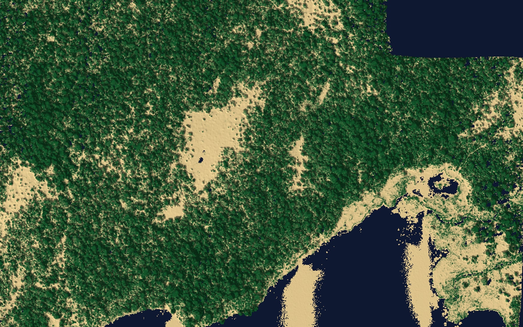 Top-down classified LiDAR point cloud of a lakeshore: ground returns in tan, vegetation in green, open water dark
