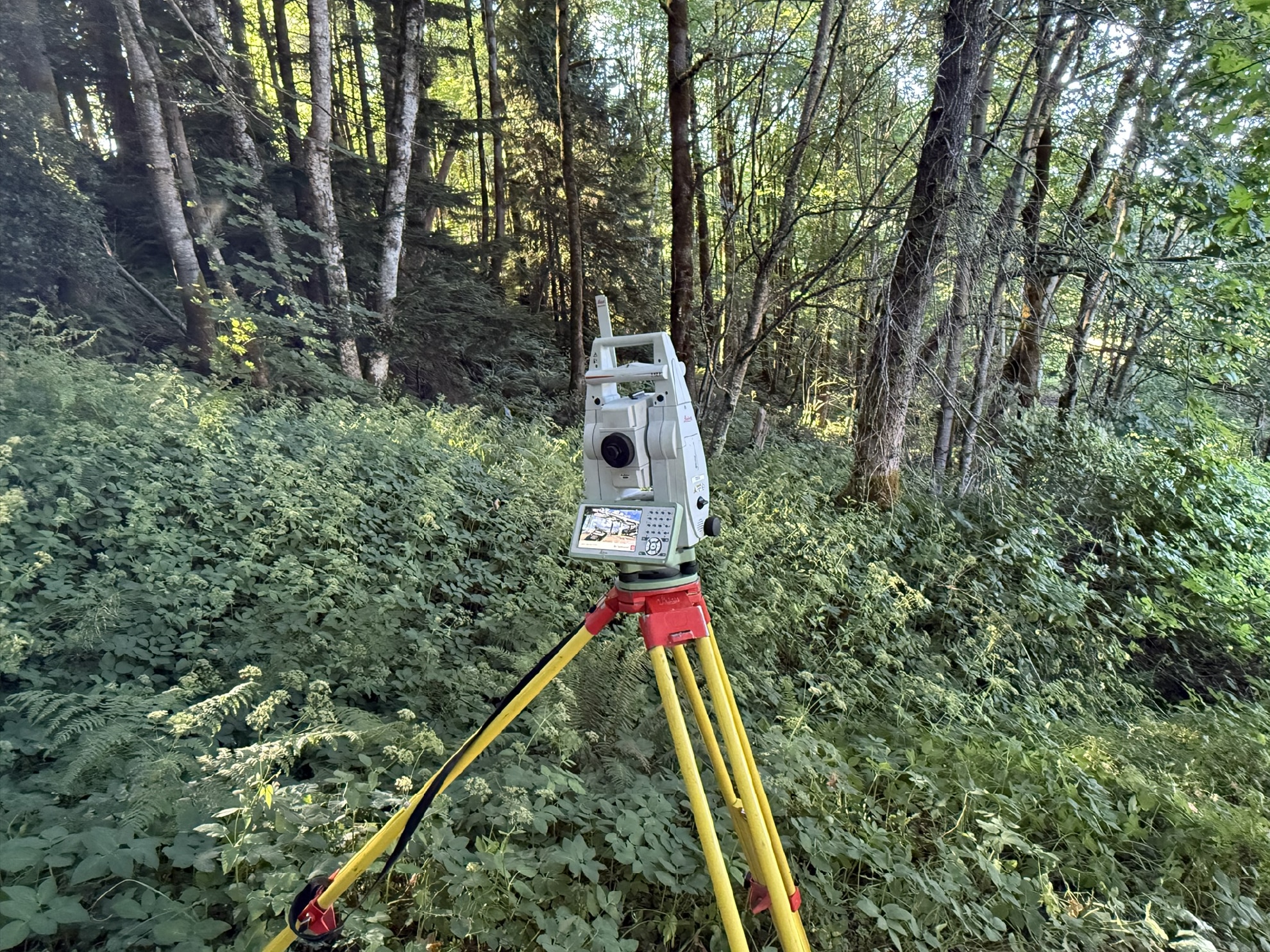 Leica total station set up by PCI Surveys in a forested area for construction and environmental surveying projects across Alberta, British Columbia, and the Yukon.
